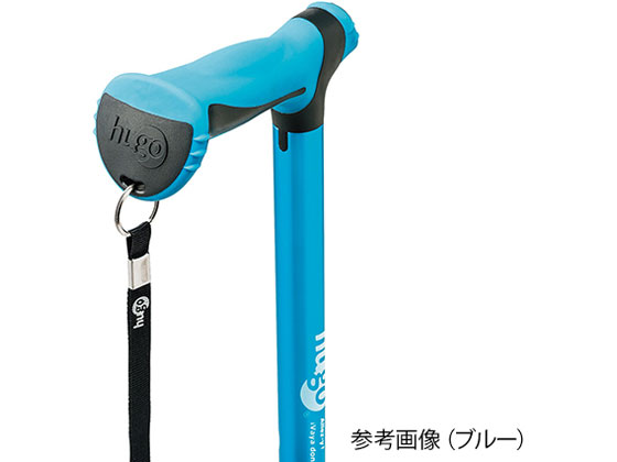 きのこ様 竹虎 ヒューゴステッキ グレー 104754 通販【フォレストウェイ】