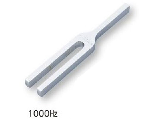 AY  1000Hz