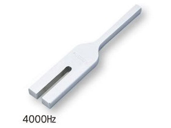 AY  4000Hz
