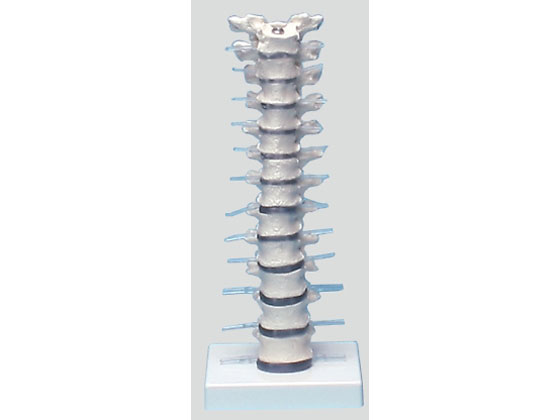 irX Ńf 385~150~130 4060