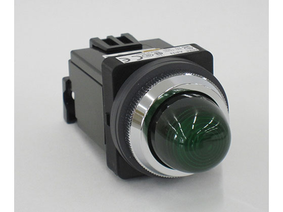 IDEC pCbgCg  APN126DNG