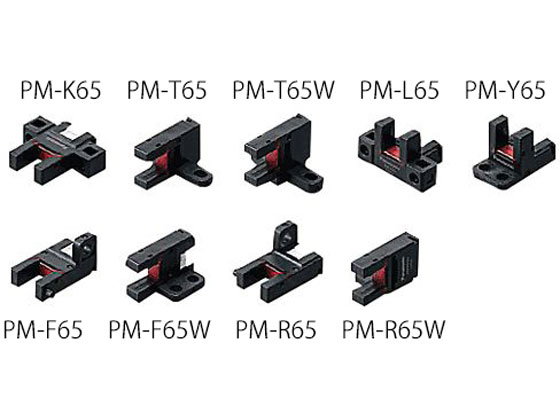 pi\jbN }CNtHgZT(^ERlN^) PM-R65W