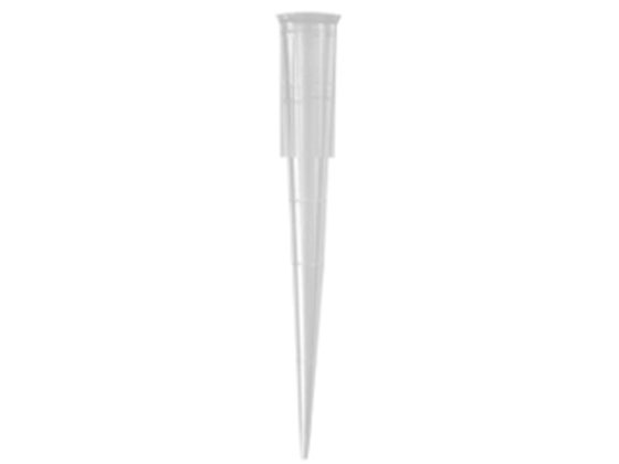 R[jOEAxygen 200l [ʎH ڐt`bv  X^bNbN TR-222-C-STK