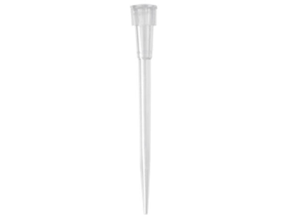 Axygen 10l }CN{[ O^Cv`bv }LV}Jo[  bN ŋۍ(pbN) TXL-10-L-R-S-J