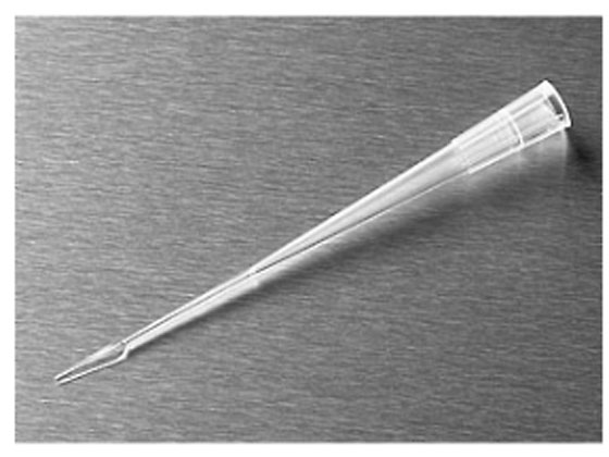R[jO Q[fBOsybg`bv1~200l ^ ŋ bNt [0.2mm 4884