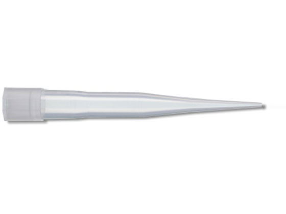 WATSON 300L `bv VRiCY oN 112-515CH