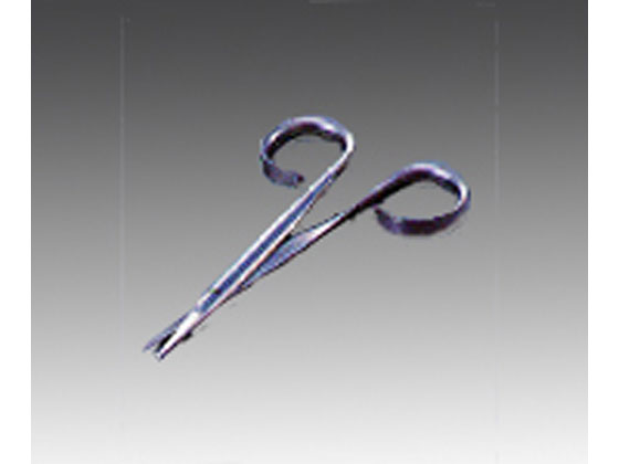 RUBIS Ɨp͂ 1C3.00
