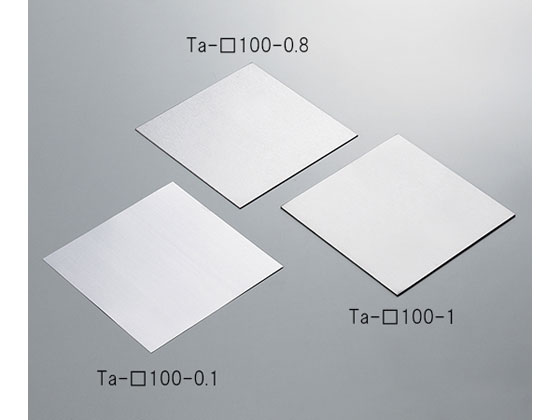 AY ^^(100~100~0.2mm) Ta-100-0.2