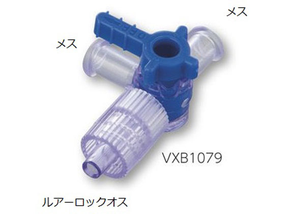 ACVX A[XgbvRbN VXB1079