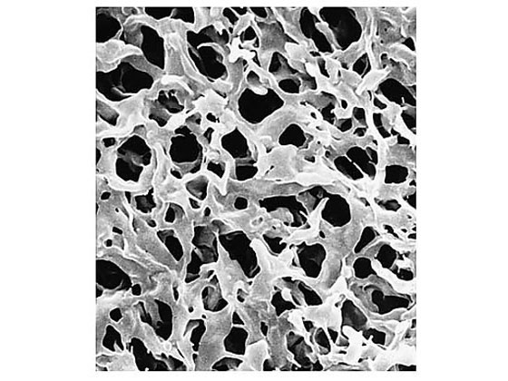 Merck Durapore disc PVDF phobic 0.22m 47mm wh pln 100 Pk 100PK GVHP04700