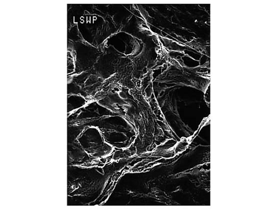 Merck Mitex disc PTFE hydrophobic 10��m 25mm wh grd 100 Pk 100PK LCWG02500