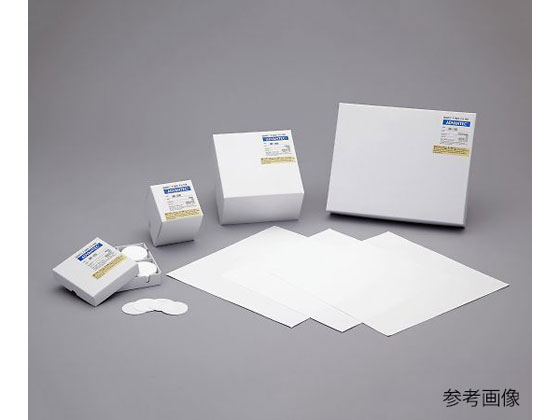 ADVANTEC VJh QR-100 100  36701110