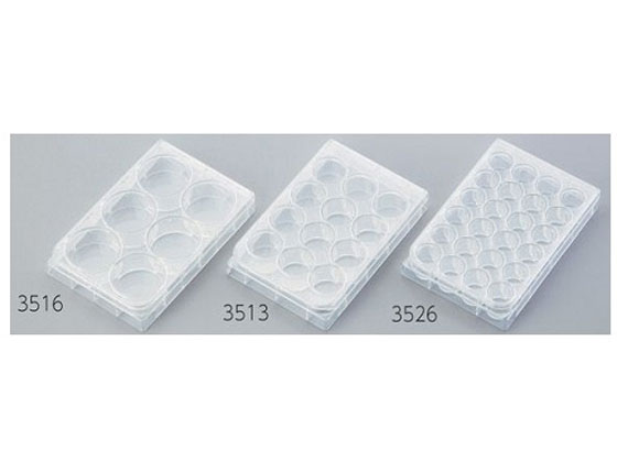Corning }`vEFv[g 12EF  3513