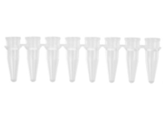 R[jOEAxygen PCR8A`[u0.2mL  LbvȂ(pbN) PCR-0208-C-J