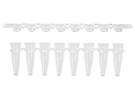 R[jOEAxygen PCR8A`[u0.2mL  tbgLbvt(pbN) PCR-0208-FCP-C-J