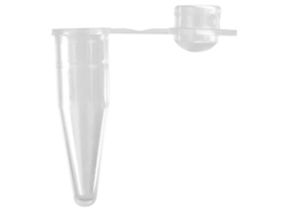 R[jOEAxygen 0.2mL PCR`[u }LV}Jo[ h[Lbvt  PCR-02D-L-C