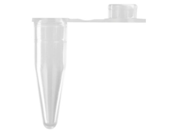 R[jOEAxygen 0.2mL PCR`[u }LV}Jo[ tbgLbvt  PCR-02-L-C