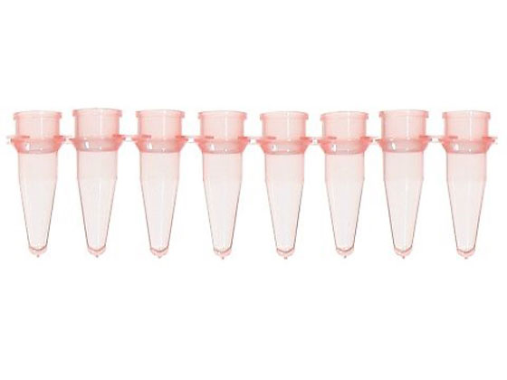 Bio Plas PCR`[u 8A0.2mL  125{ 5010-2