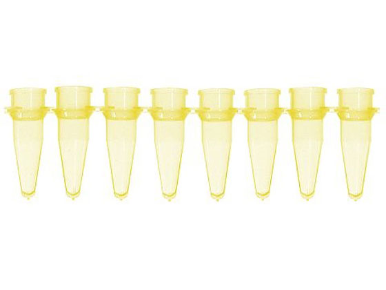 Bio Plas PCR`[u 8A0.2mL  125{ 5010-3