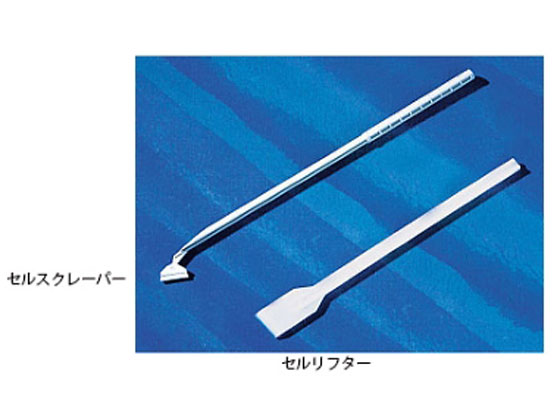 R[jO ZXN[p[ 3010