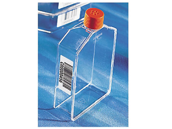 �R�[�j���O �t���X�R175cm2�A���O���l�b�N�x���g�L���b�v�o�[�R�[�h�t�� 431306