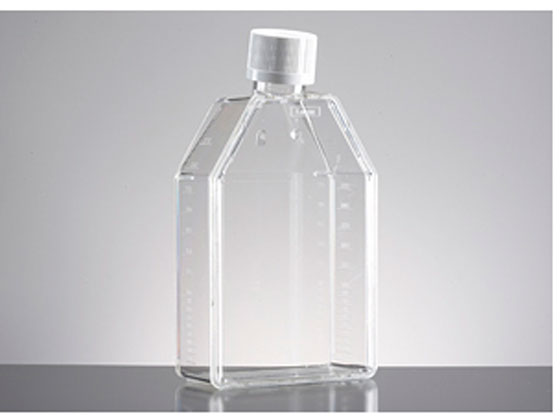 Corning mg[gg^Cv tXR 250mL vOV[Lbv XglbN 353133