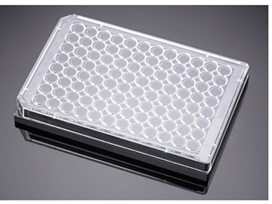 Corning PureCoat A~ 96EFF v[g 5 pbN~1pbN 354717
