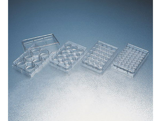 Corning ZJ`[v[g }`EFv[gEt^t 24EF  353047