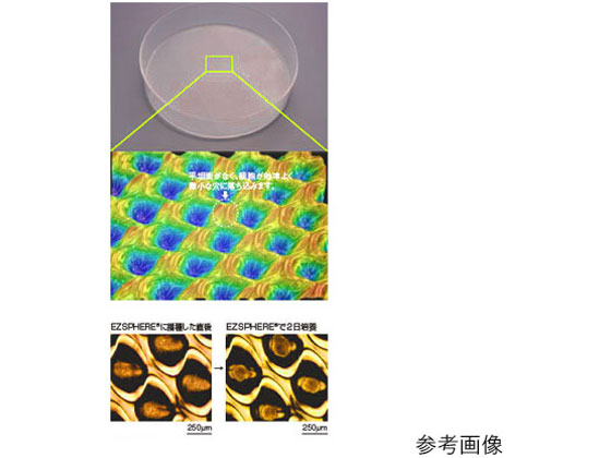 AGCeNmOX EZSPHERE(XtFCh`|{pe)}CNv[g 96well 5 4860-900