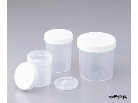 AY pbNN[(teNg)600mL  600F