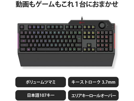 エレコム ゲーミングキーボード 有線 メンブレン フル TK-G02UMBK 通販