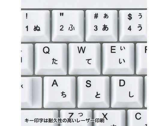 usbキボド pico-jxglib で Pico ボードに USB キーボード・マウスを接続する話