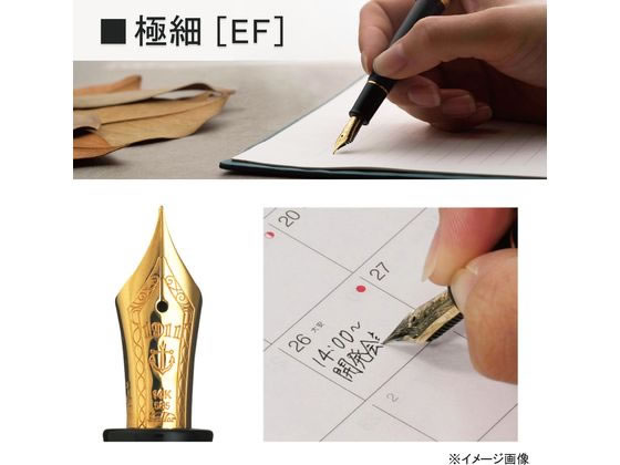Amazon.co.jp: セーラー万年筆 万年筆 プロフィットスタンダード