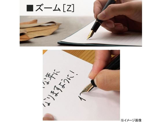 セーラー 万年筆 プロフィット スタンダード21 マルン Z ズーム 通販