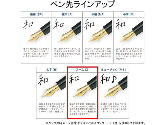 セーラー万年筆 プロフィットスタンダード21 ズーム マルン セーラー 万年筆 プロフィット スタンダード21 マルン Z ズーム 通販