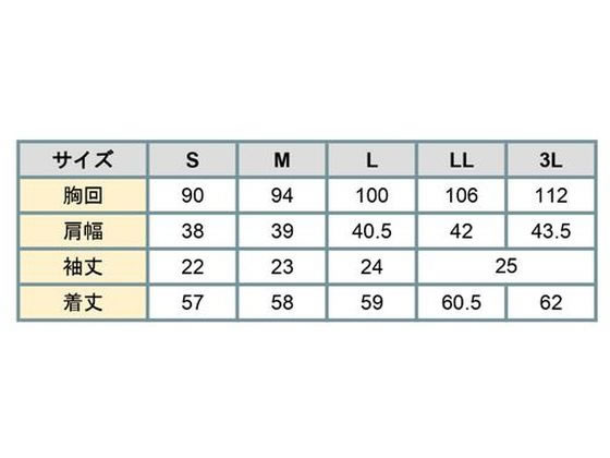 申込期間25年08月01日13時まで_ボンマックス タック切替え半袖ニット　ホワイト　１７号_取寄商品 ボンマックス タック切替え半袖ニット ホワイト 3L BCK7306-15