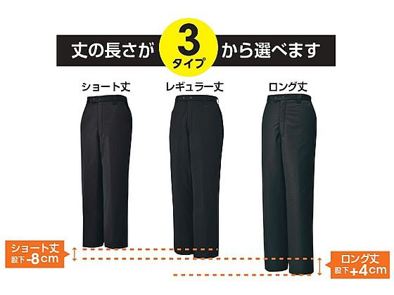 n86784a.jpg