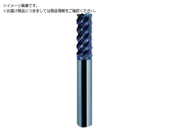 EH[^[~Y WM\HXNGAGh~ 4~11~55mm AlTiN WHS645A143583