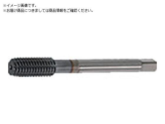 ●精度：６●呼び寸法：Ｍ５●ピッチ（ｍｍ）：０．８●ねじ長さ（ｍｍ）：１０●全長（ｍｍ）：６０●シャンク径（ｍｍ）：５．５●シャンク四角部（ｍｍ）：７●食い付山数：１●止まり穴用（通常の止まり穴用より