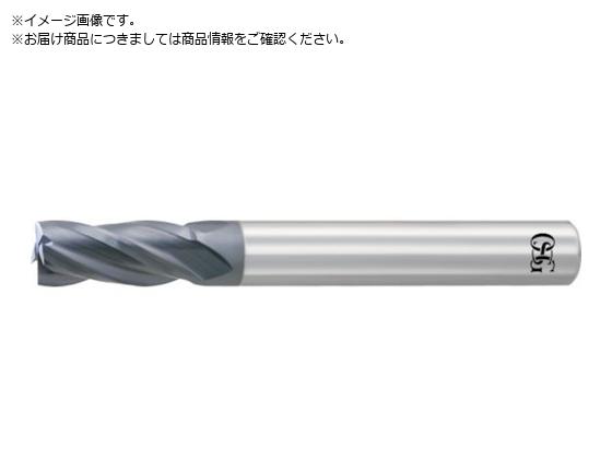 OSG dXNGAGh~ WXR[g4nV[g na2.5mm n8mm 3130525 WXLEMS2.5 3130525