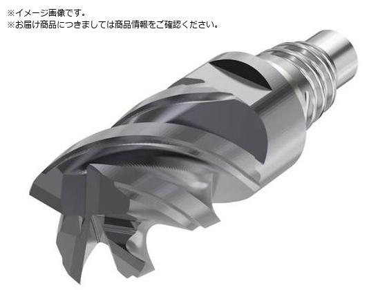 セコ Xヘッドインサート SIRA XSE550E12120D2CZ4 SIRA 通販 セコ Xヘッドインサート SIRA XSE550E12120D2CZ4 SIRA 通販