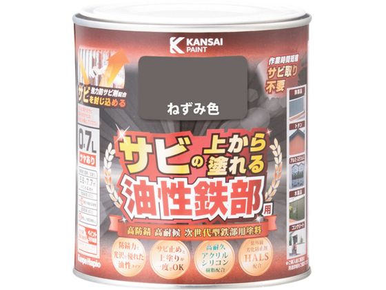 KANSAI SpS ˂ݐF 0.7L 00 357640421007
