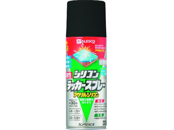 KANSAI VRbJ[Xv[ ubN 300ML 00 587644022300