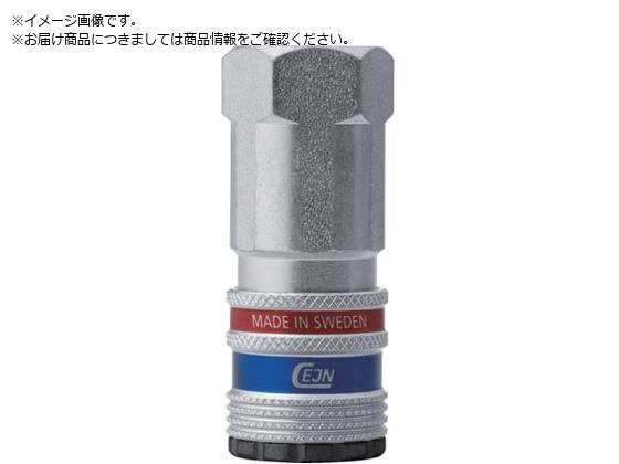 CEJN V[Y300 eSafe JbvO lW G1 4 10-300-2202