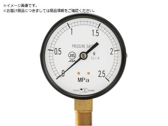  ʈ͌v Ag^E100 ̓W0.0`0.25MPa R3 8 1028025