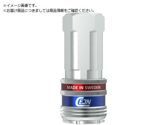CEJN V[Y315 eSafe JbvO Rc1 2lW 10-315-2105