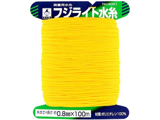  tWCg 4001