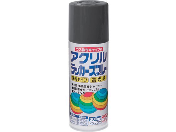 jby ANbJ[Xv[ 300ml _[NO[ HWE004-300