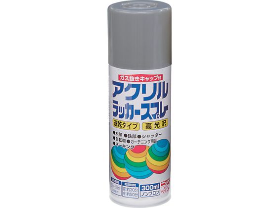 jby ANbJ[Xv[ 300ml Vo[^bN HWE022-300