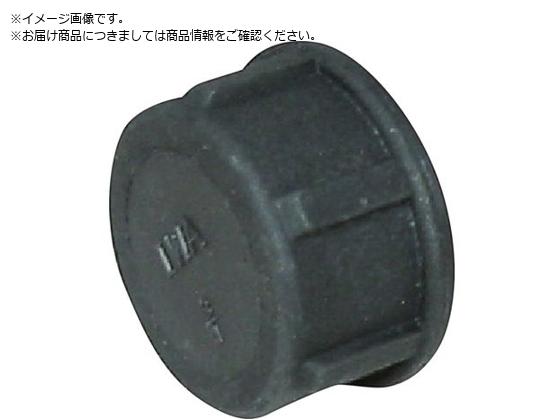 IWA  PP  Lbv 49CAP20P
